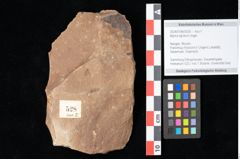 Foto (Objekt + Etikett) von Myrica lignitum Unger (NHMW-GEO-2024-0188-0528)